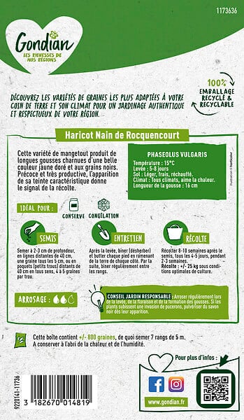 GONDIAN - Haricot de Rocquencourt Gondian - large