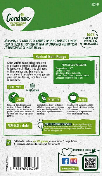 GONDIAN - Haricot Pongo Gondian - large