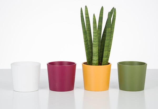 SCHEURICH - Cache-pot Mini Fancy 9cm - large