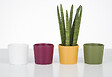 SCHEURICH - Cache-pot Mini Fancy 9cm - vignette
