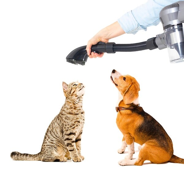 KITCHEN MOVE - Aspirateur balai animaux SILENT Noir Aluminium 160W - large