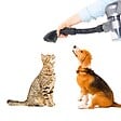 KITCHEN MOVE - Aspirateur balai animaux SILENT Noir Aluminium 160W - vignette