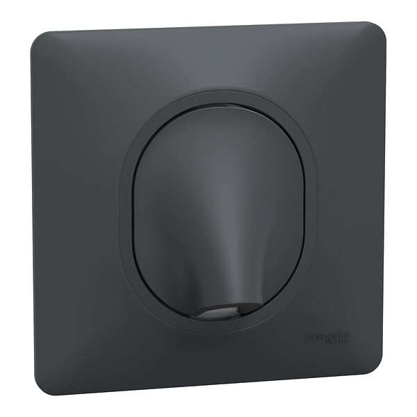 SCHNEIDER ELECTRIC - Ovalis - Monobloc - Sortie de câble - 16A - Ø6..12mm - Anthracite - large