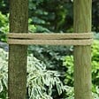 CENTRALE BRICO - Corde plate en fibre de jute LA CORDELINE, L.5 m - vignette