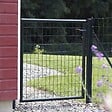DIRICKX - Portillon grillagé Eco garden l.105 x H.125 cm, gris - vignette