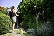 HOZELOCK - Pulvérisateur Seringa longueur du tuyau 5 m - vignette