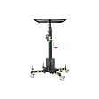 STOCKMAN - Elévateur lève-charge manuel LP125R 125kg hauteur 4560mm Stockman - vignette