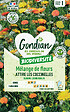 GONDIAN - Mélange de fleurs Eloigne les Pucerons Gondian - vignette