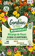 GONDIAN - Mélange de fleurs eloigne les Doryphores Gondian - vignette