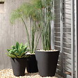 CENTRALE BRICO - Pot rond noir Rim de 46 cm avec TruDrop One - vignette