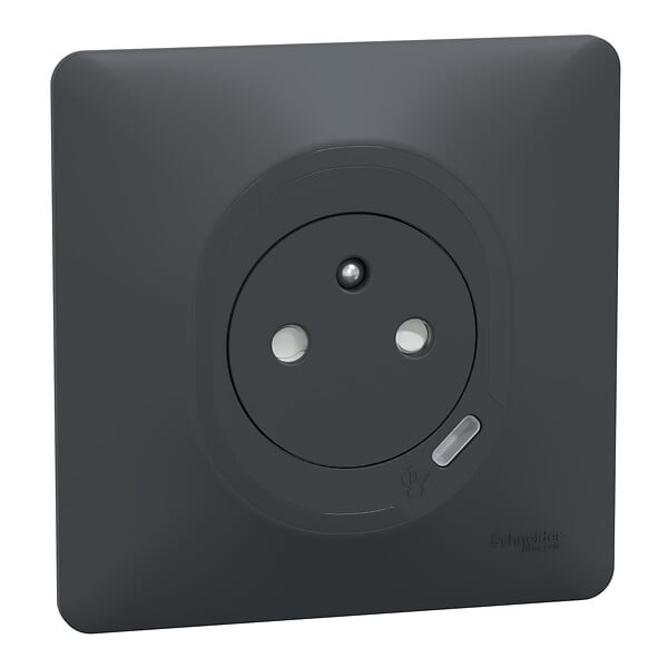 SCHNEIDER ELECTRIC - Ovalis - Monobloc - Combi 2P+T affl + USB C Anth - avec griffes - large