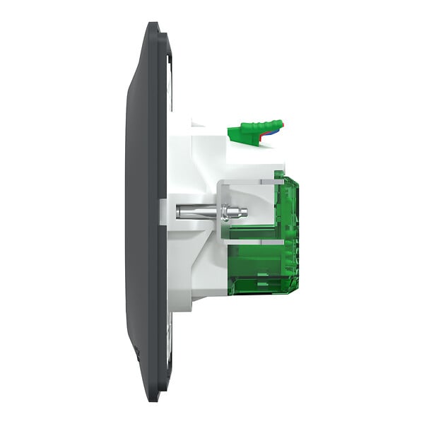 SCHNEIDER ELECTRIC - Ovalis - Monobloc - Combi 2P+T affl + USB C Anth - avec griffes - large
