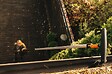 FISKARS - Manche télescopique pour les outils à main - QuikFit - 230 à 400cm - vignette
