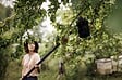FISKARS - Manche télescopique QuikFit M 140-250cm outil interchangeable - vignette
