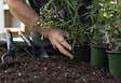 FISKARS - Griffe jardin bimatière solid vrac pav - vignette