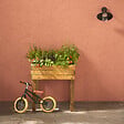 CERLAND - Carre potager PAPRIKA 90L PIN - vignette