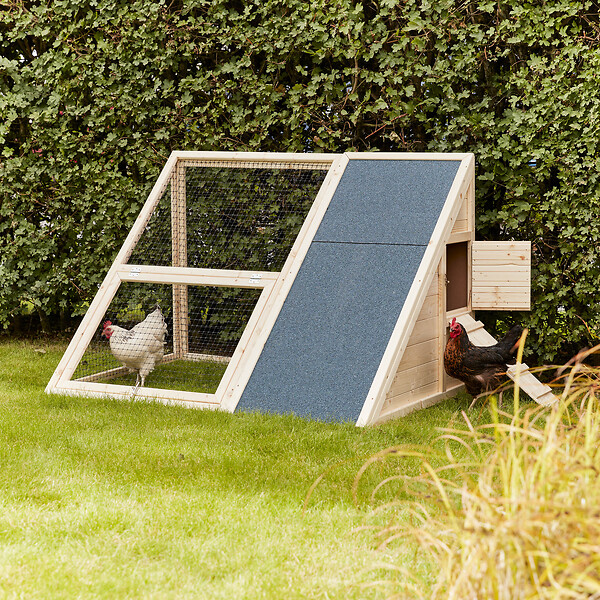 CERLAND - Poulailler AVA Moderne EPICEA 1000x1000x1500mm 1,5m2 - large