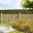 CERLAND - Cloture CLEVELAND PIN 1800x950x30 mm - vignette