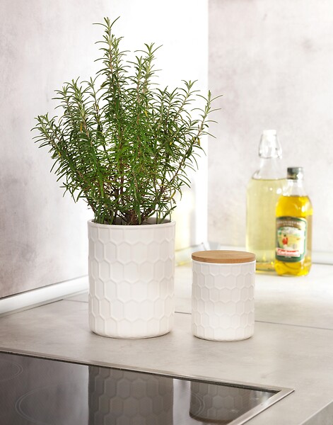 WENKO - Boîte de Rangement Maya 0,4 L, FSC - large