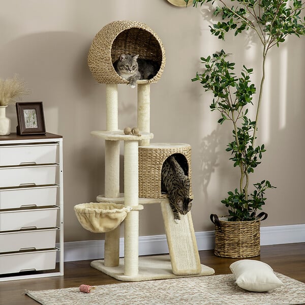 PAWHUT - Arbre à chat style cosy chic griffoirs grattoir sisal 2 grandes niches plateforme hamac peluche courte beige jacinthe d'eau - large