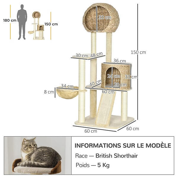 PAWHUT - Arbre à chat style cosy chic griffoirs grattoir sisal 2 grandes niches plateforme hamac peluche courte beige jacinthe d'eau - large