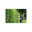 RYOBI - Taille-haies RYOBI 18V One+ - 1 batterie 2.0Ah - 1 chargeur - RY18HT55A-120 - vignette