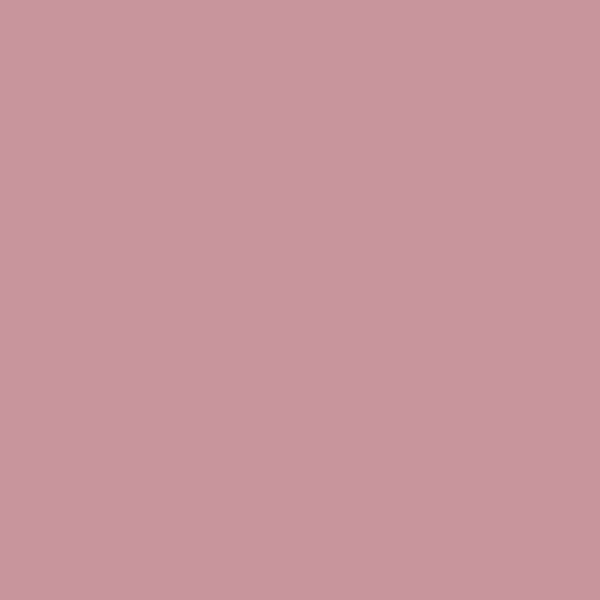 V33 PEINTURE - Peinture Colorissim Velours argile rose 2 L - large
