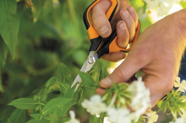 FISKARS - Ciseaux à fleurs de précision Solid SP15 Ø10mm Poignées loupe Microtip - large