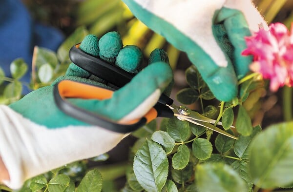 FISKARS - Ciseaux à fleurs de précision Solid SP15 Ø10mm Poignées loupe Microtip - large