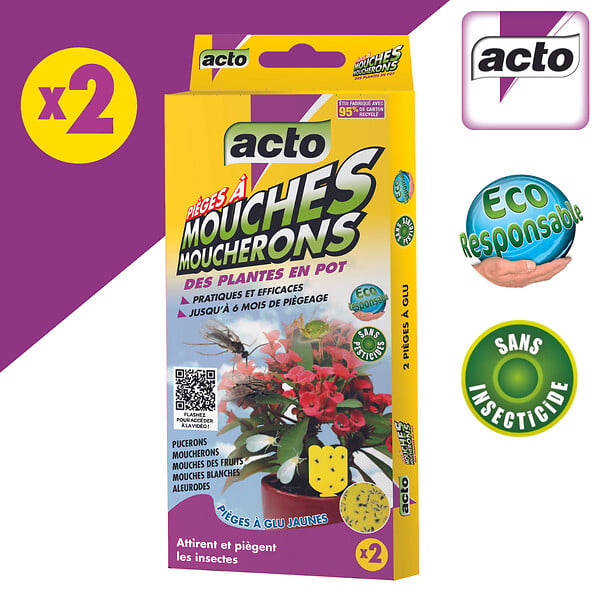 ACTO - Piege a mouches - moucherons des plantes en pot - large