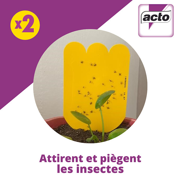 ACTO - Piege a mouches - moucherons des plantes en pot - large