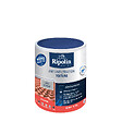 RIPOLIN - Etancheite anti-infiltration toiture Gris ciment 0.75l - vignette