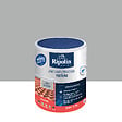 RIPOLIN - Etancheite anti-infiltration toiture Gris ciment 0.75l - vignette