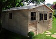 TIMBELA - Abri de Jardin en Bois Naturel - H246x418x522 cm / 20 m² - M333 - vignette