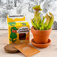 RADIS ET C - Plante extraordinaire - Plante carnivore - vignette