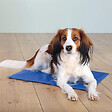 ANKA - Tapis rafraîchissant 50x40cm - vignette