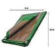 TECPLAST - Bache plastique 8 x 12 m Verte et marron Etanche Traitée anti UV Polyéthylène 250g/m² - vignette