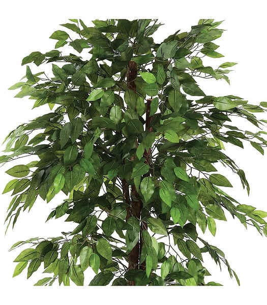 ATMOSPHERA - Plante artificielle Ficus en pot H 180 cm - large