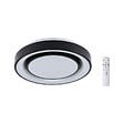 PAULMANN - Panneau LED Rainbow Dynamic RGB TunableWhite 22W D.375mm noir - vignette