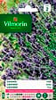 VILMORIN - Lavande Vraie Vilmorin - vignette