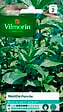 VILMORIN - Menthe poivree - vignette