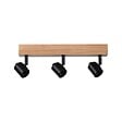 PAULMANN - Spots Arvid max.3x20W E27 230V noir-bois - vignette