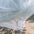 SUAN - Voile d'hivernage - Blanc - Dimensions : 1 m x 10 m - vignette