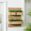 OUTSUNNY - Jardinière murale avec treillis - lot de 3 jardinières murales - dim. 60L x 16l x 80H cm - bois sapin pré-huilé - vignette