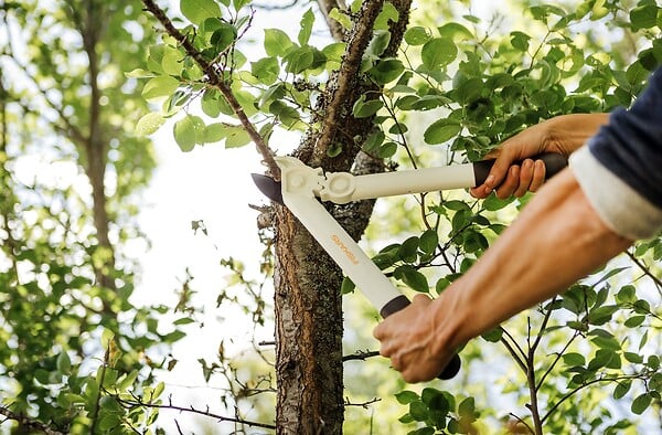 FISKARS - Coupe-branches White blanc L32 - large