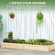 OUTSUNNY - Carré potager de jardin dim. 244 x 61,5 x 27 cm feutre de drainage, séparation inclus bois de sapin - vignette