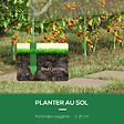 OUTSUNNY - Serre de jardin serre à tomates dim. 4L x 1,23l x 1,71H m acier thermolaqué vert PVC haute densité transparent - vignette