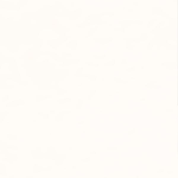 PURE&PAINT - Peinture végétale - Velouté - Blanc - 2.5L - large