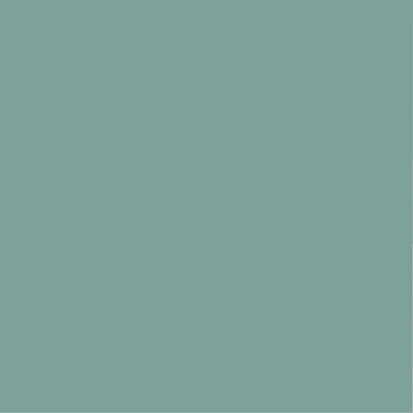 PURE&PAINT - Peinture végétale - Velouté - Vert de gris - 2,5L - large
