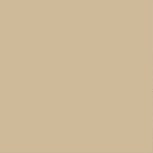 PURE&PAINT - Peinture végétale - Velouté - Sarrasin - 2,5L - large